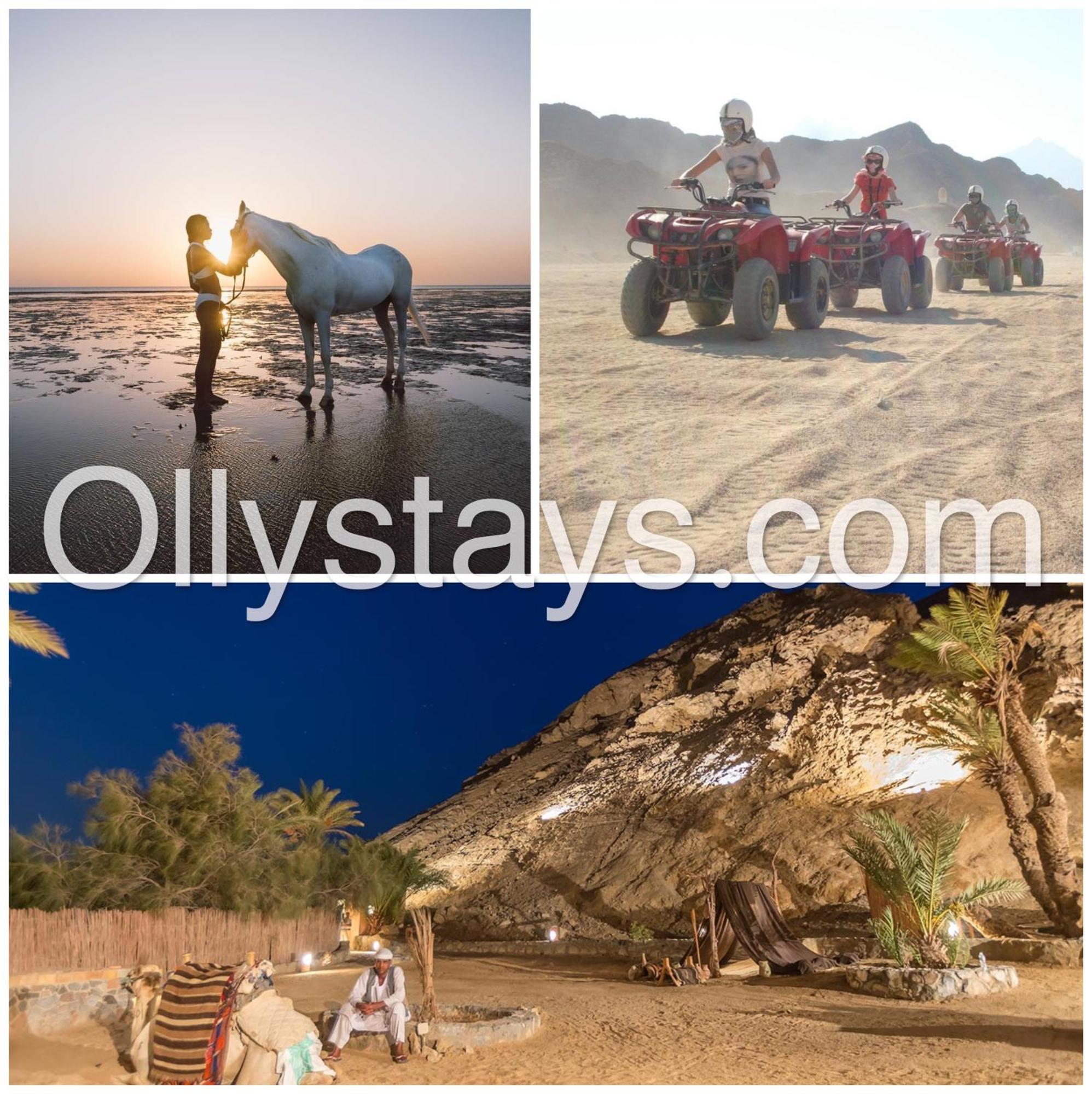 Ollystays Mangroovy 1 Bedroom Beach And Pool Free Access 후르가다 외부 사진