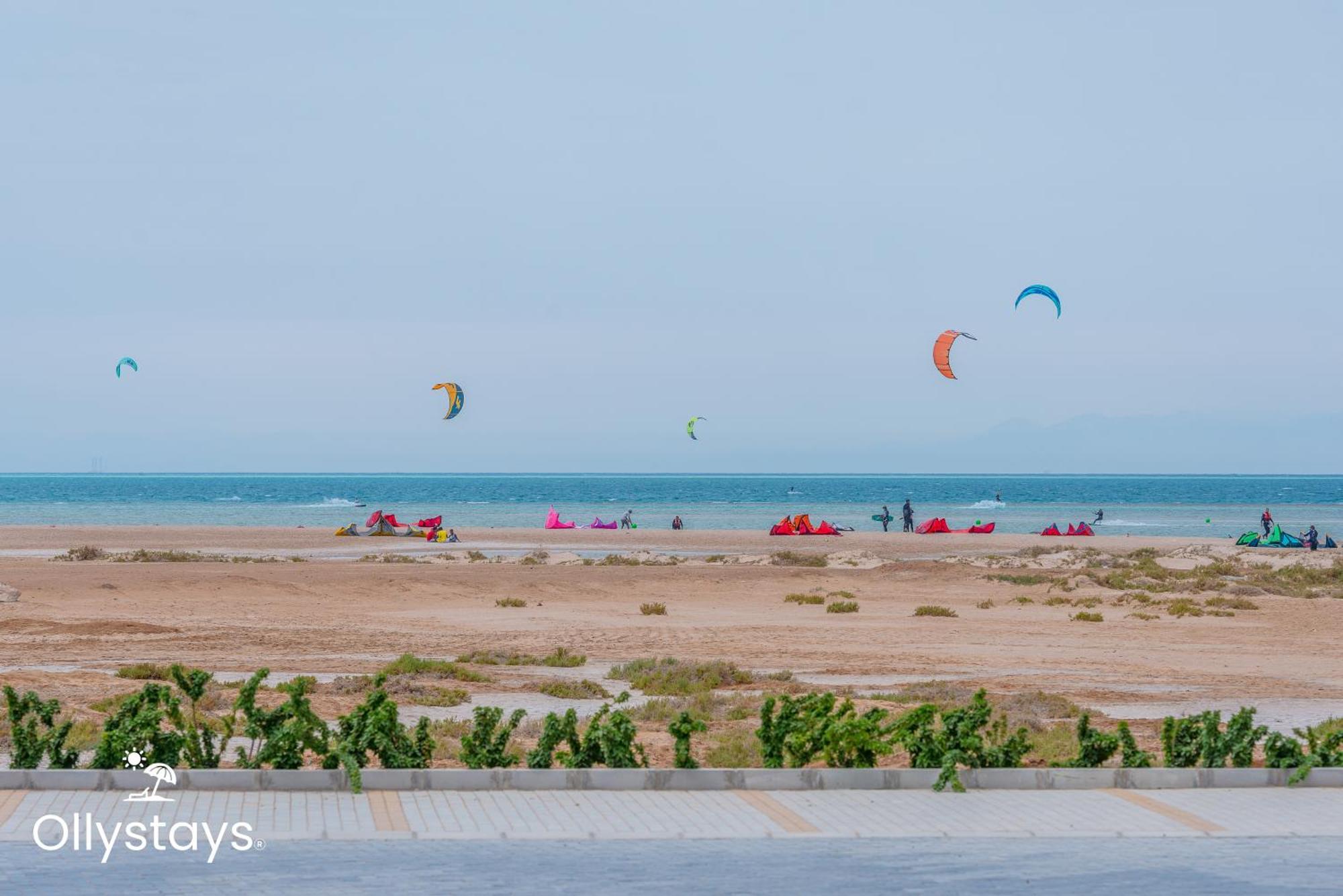 Ollystays Mangroovy 1 Bedroom Beach And Pool Free Access 후르가다 외부 사진
